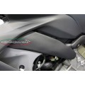 Carbonvani - Ducati Panigale / Streetfighter V4 / S / R / Speciale Carbon Fiber Frame (Fuel Tank Side) Covers Carbonvani - Ducati Panigale / Streetfighter V4 / S / R / Speciale Carbon Fiber Frame (Fuel Tank Side) Covers